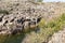 A small lake with fish framed by rocks with overgrown bushes and trees on the banks in Yehudia National Natural Park in northern