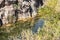 A small lake with fish framed by rocks with overgrown bushes and trees on the banks in Yehudia National Natural Park in northern