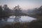 Small lake at foggy  dawn in autumn. Moody landscape. Swamp Ozernoye National Park