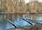 A small lake in the forest among trees and shrubs. Forest frozen lake surrounded by trees. Fallen trees in a forest pond