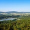 Small lake in the forest under clear sky