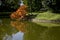 the small lake inside the Villa Reale in Lucca