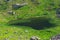 Small Lake on Moskenesoya, Lofoten, Norway