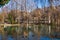 Small lake, in a park in BagnÃ¨re de Luchon, Haute Garonne, Occitanie, France