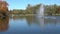 Small lake in the park. Wild ducks swimming on the lake.