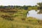 Small Lake reflection with grass shore area