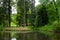 Small lake with reflections in a forest with trees and a bridge in Zamecky Park, in Hluboka nad Vltavou Czech Republic