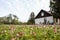 Small lawn flowers blooming in front of old countryside home on a warm spring day