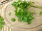 Small-leaved basil and lovage