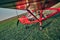 Small light airplane ready to flight on the airport field