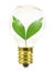 Small light bulb with leaves