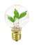 Small light bulb with sprouts