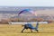 A small light-engine aircraft stands on a field airfield