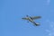 A small light light plane aircraft flies in a clear blue sky. Horizontal orientation.