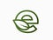 small line letter e with leaf. creative eco logo. eco friendly, ecology and environment symbol