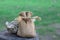 Small linen bag on blur background