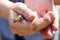 Ð small lizard in his hands