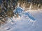 Small local harbor covered by snow