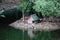 Small lodges for birds on the bank of a pond in Moscow Zoo.