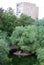 Small lodges for birds on the bank of a pond in Moscow Zoo.