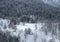 Small lonely hut in a mountain forest