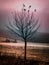 Small lonesome tree in autumn time. Vintage style