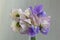 A small, loose arrangement of mixed sweet peas in shades of white and purple against a grey wooden background