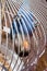 A small lovebird parrot of Afro-Malagasy origin in a cage.