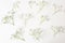 Small lush elegant white gypsophila flowers