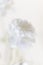 Small lush elegant white gypsophila flowers