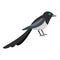Small magpie icon, flat style