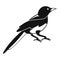 Small magpie icon, simple style