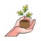Small maple plant pot in hand