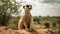 Small meerkat sits alert, cute and curious generated by AI