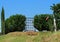 Small metal gate door among the hedges in the countryside. Little cypress, a rose ,green grass and blue sky on background