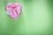 Small metal pink heart-shaped present box on green surface holid