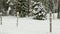 Small military old bunker surrounded by barbed wire in winter forest