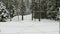 Small military old bunker surrounded by barbed wire in winter forest