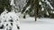 Small military old bunker surrounded by barbed wire in winter forest