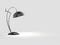 Small modern shiny black desk lamp