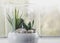 Small modern tabletop glass open terrarium for plants on window sill in natural light.