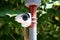 Small modern white closed circuit TV CCTV camera mounted on street lamp strong metal pole in front of dense leaves