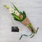 Small modest bouquet consisting of gladiolus, nuts, stationery on a white wooden table as a gift to the school child at the beginn