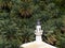 Small mosque nestled among the palms of Wadi Tiwi, Oman