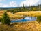 Small mountain creek meandering in the middle of meadows and forest