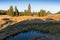 Small mountain creek in the middle of green meadows and spruce forest, Jizera Mountains, Czech Republic Mountain village Jizerka