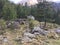 Small mountain house among the pines , Balme, Valli di Lanzo, Italy