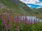 Small mountain lake, green planted mountain landscape