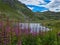 Small mountain lake, green planted mountain landscape