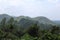 A Small mountain range and beyond view through the trees and leaves